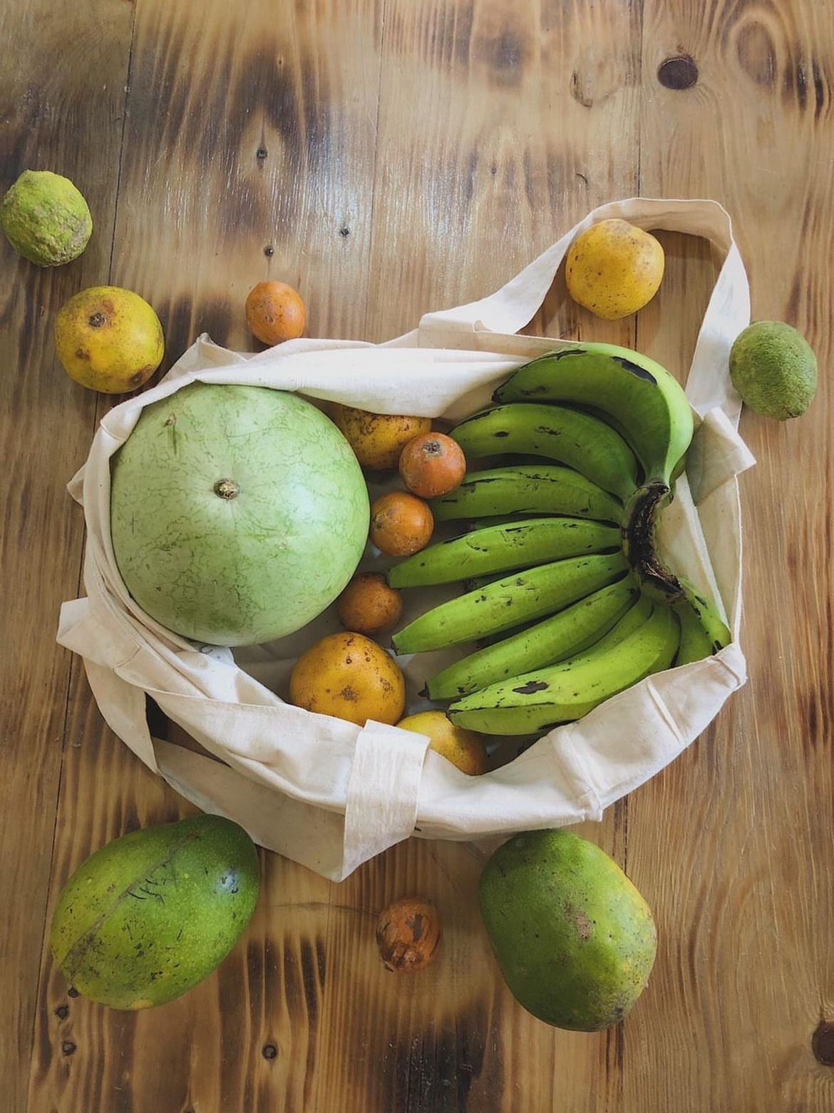 Soko Bags - Eco-friendly shopping bag with organic fruit