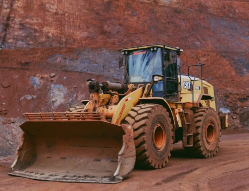 Ghana Takes a Stand: Protecting Forests, Water, and Our Future